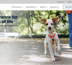 what s the best pet insurance in 2026 10 providers ranked