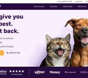 what s the best pet insurance in 2026 10 providers ranked