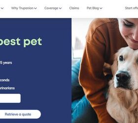 what s the best pet insurance in 2026 10 providers ranked
