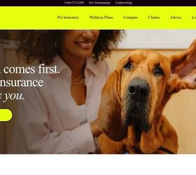 what s the best pet insurance in 2026 10 providers ranked