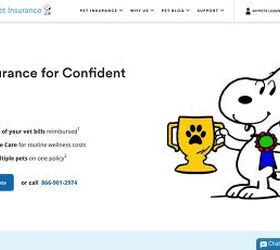 what s the best pet insurance in 2026 10 providers ranked