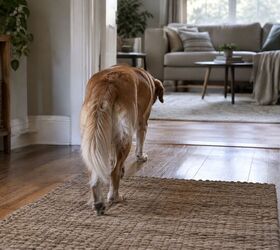how to help a pet cope when another pet dies