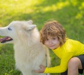 Broadway Star Bernadette Peters Hosts the 2026 Fetch Pet Gala