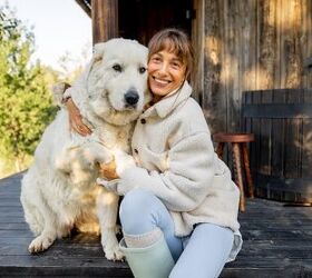 Research Shows Telomir-Zn Might Slow Bone Cancer in Dogs