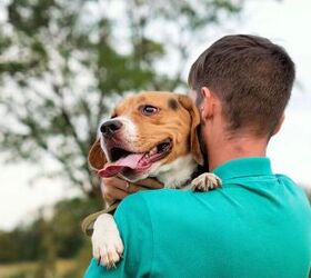 7 Dog Owner Pet Peeves: How to Be a Considerate Owner