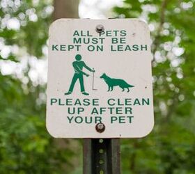 7 dog owner pet peeves how to be a considerate owner, Image Canva
