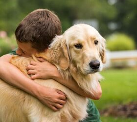 4 things your dog wishes youd do more often, Image Canva