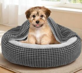 4 things your dog wishes youd do more often, Cozy Donut Cuddler Anti Anxiety Hooded Pet Bed Image Amazon