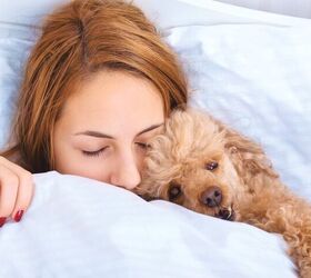 Recognize When You've Officially Become a Crazy Dog Person | PetGuide