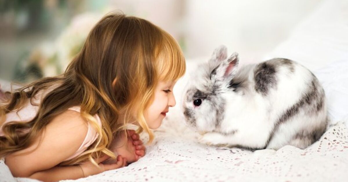 Children With Rabbit 10 Best Rabbits for Kids | PetGuide