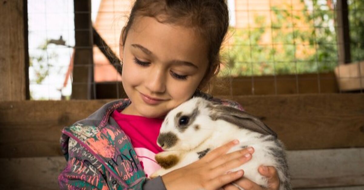 10 Most Affectionate Rabbit Breeds | PetGuide