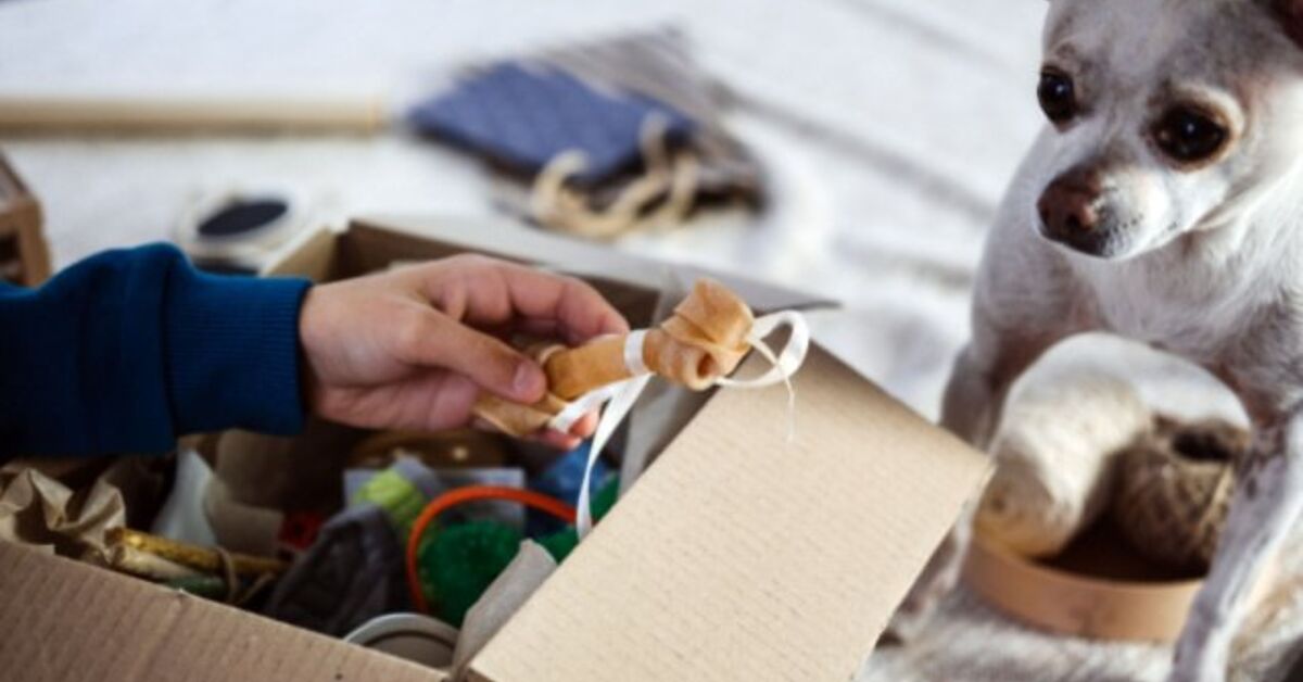 Best Pet Subscription Boxes | PetGuide